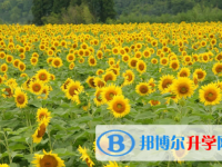 保定2021年中考招生计划查询