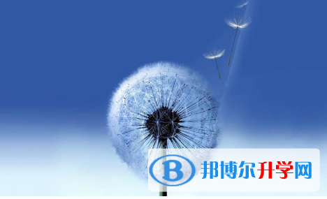 保定2021年中考招生网络应用服务平台
