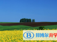 石家庄2021年中考重点线录取