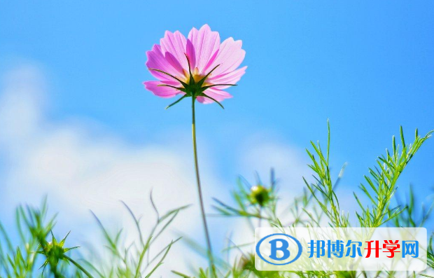 石家庄2021年中考后计划