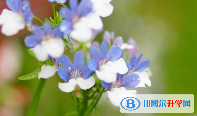 石家庄2021年中考紧张