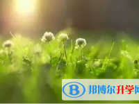 唐山2021年中考人数