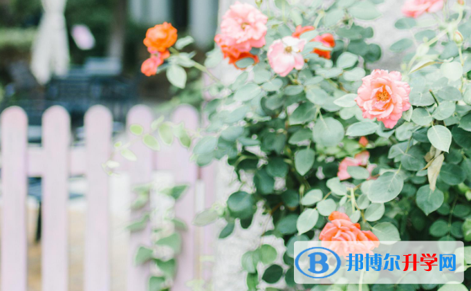 石家庄2021年中考需要准备什么