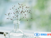 石家庄2021年中考是什么时候
