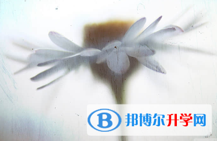唐山2021年中考网络平台