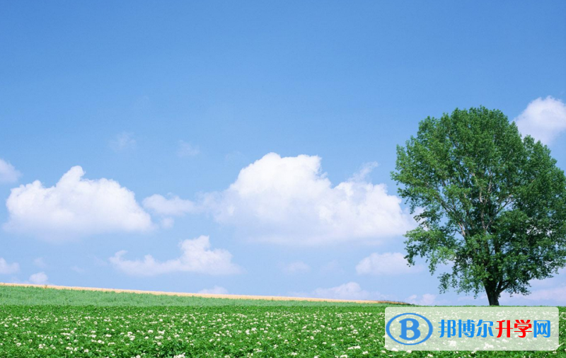 石家庄2021年中考没考好