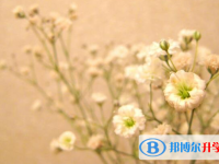 石家庄2021年中考报名志愿