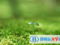 石家庄2021年中考模拟填报志愿