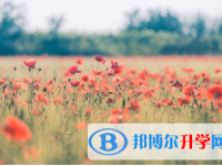 秦皇岛2021年今年中考难度