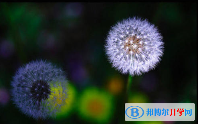 邯郸2021年中考要求