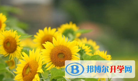 秦皇岛2021年中考怎么饮食