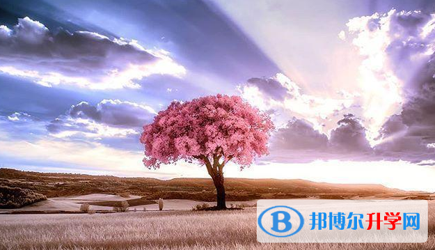 邯郸2021年中考失利怎么办