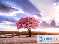 邯郸2021年中考失利怎么办