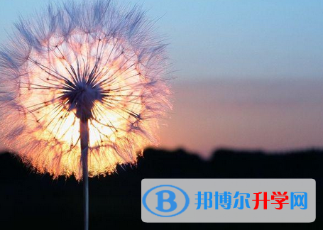 邯郸2021年中考没考好可以复读吗
