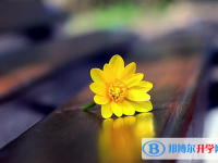 邯郸2021年中考没考好怎么办