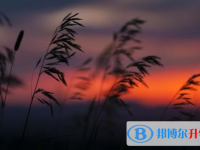 邯郸2021年中考落榜了怎么办