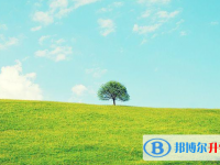 邯郸2021年中考后可以上什么学校