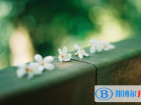 邯郸2021年怎样中考正常发挥