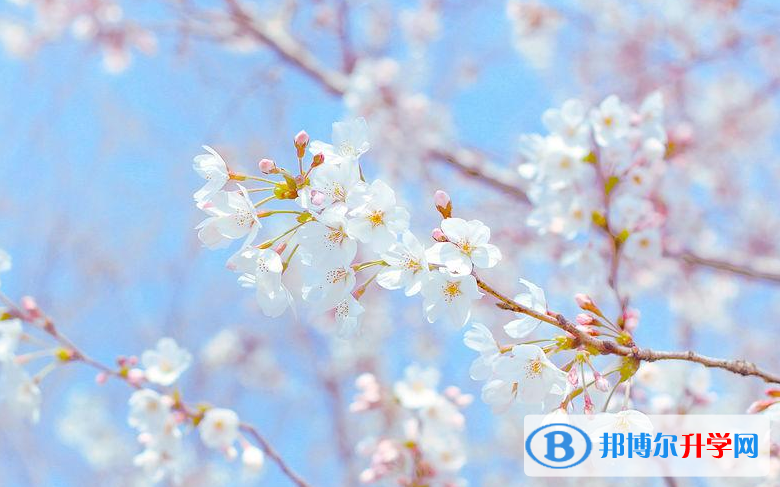 邯郸2021年孩子因病错过中考怎么办