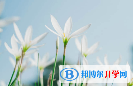 秦皇岛2021年孩子因病错过中考怎么办