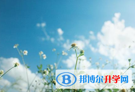 秦皇岛2021年中考怎么填志愿才可以上到好的学校