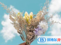 张家口2021年怎样查询中考艺体考试成绩