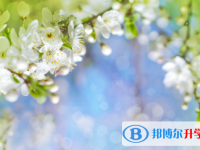 张家口2021年中考查询成绩