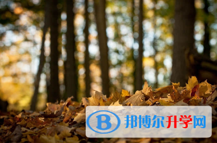 秦皇岛2021年怎样从网上查询中考成绩