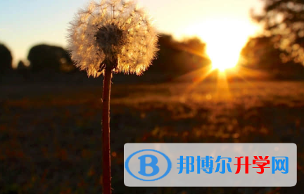 秦皇岛2021年中考成绩差怎么办