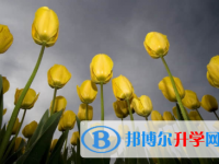 秦皇岛2021年中考成绩什么时候出来