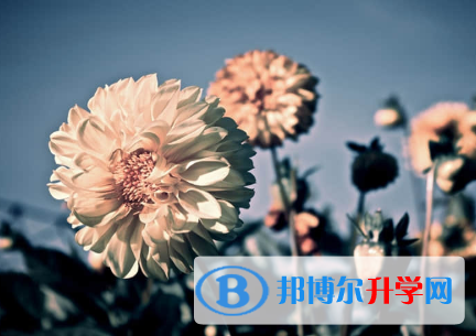 秦皇岛2021年中考成绩有没D