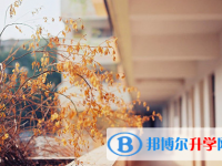 张家口2021年中考在哪查询成绩