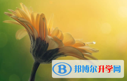 秦皇岛2021年中考考号查询