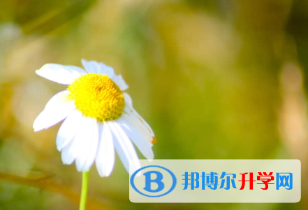 秦皇岛2021年参加中考的有多少人