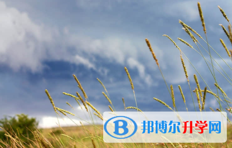 秦皇岛2021年多久中考