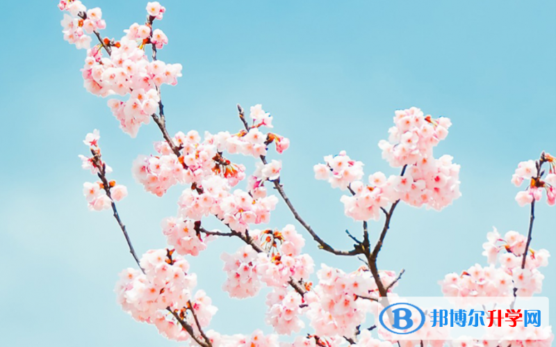 张家口2021年如何填中考学校