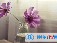 秦皇岛2021年近几年中考重点线