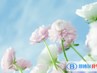 张家口2021年中考报名需要带什么