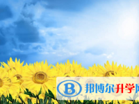 承德2021年中考成绩一般读什么学校