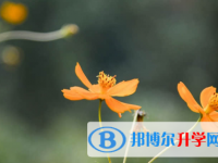承德2021年中考多久出成绩