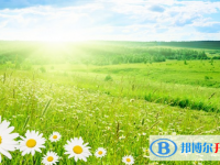 张家口2021年中考网络平台