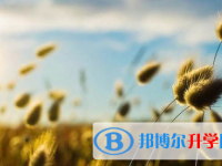 承德2021年二类学校中考