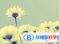 承德2021年如何填中考学校