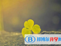 承德2021年中考报名号