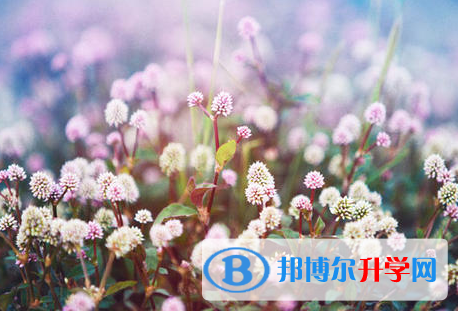 承德2021年中考成绩何时出来