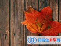 承德2021年中考成绩今年怎么这么高