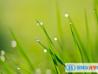 张家口2021年中考最新政策