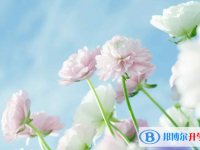 张家口2021年今年中考统招线包括哪些区域