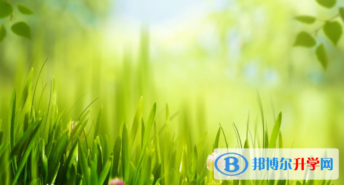 张家口2021年中考报名服务平台