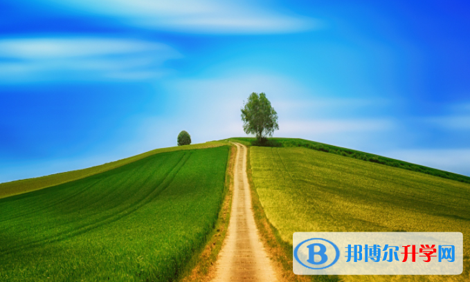 张家口2021年中考的规则
